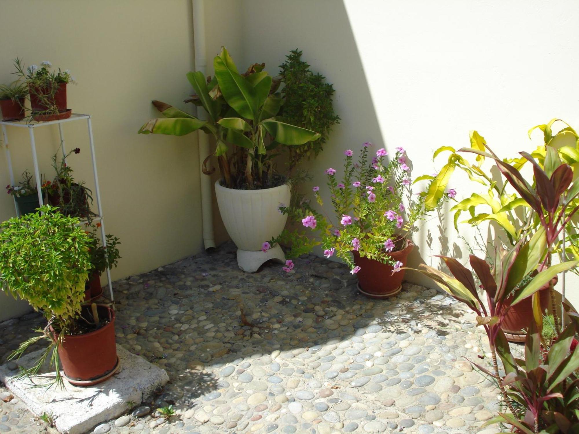 Zinovia Apartment คาโตดารัตโซ ภายนอก รูปภาพ